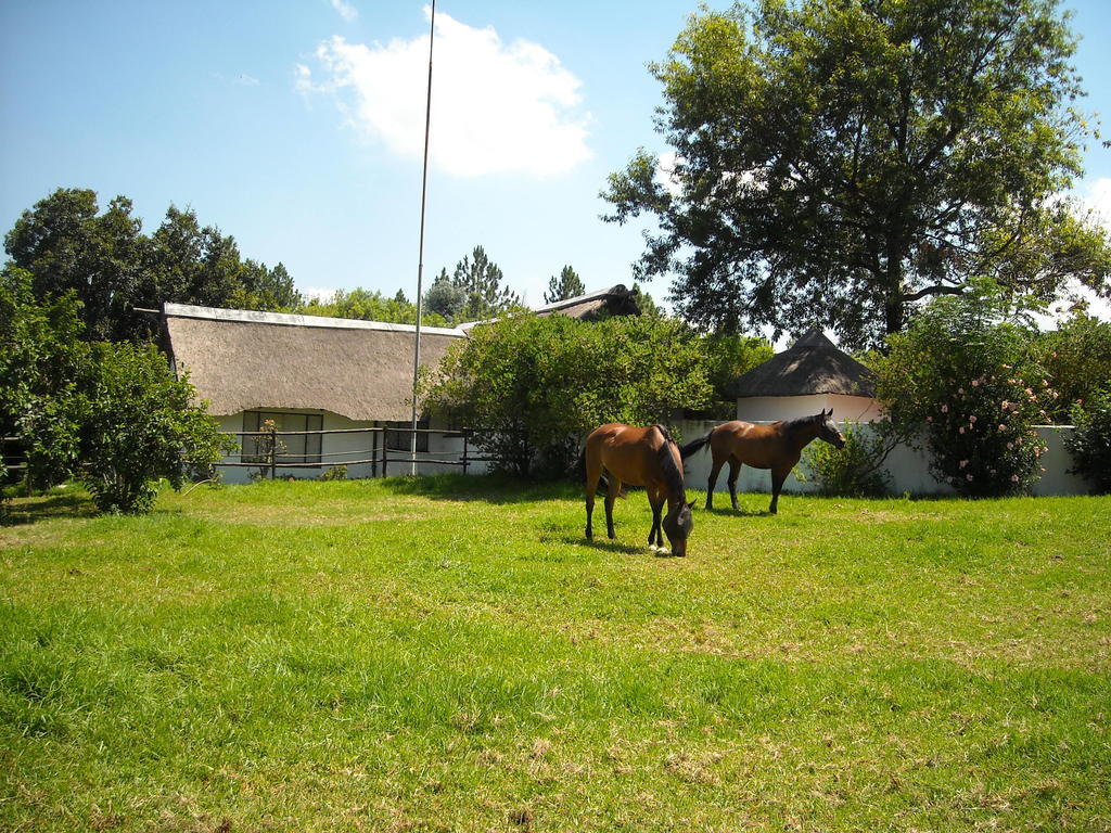 Pine Tree Lodge Midrand Eksteriør billede