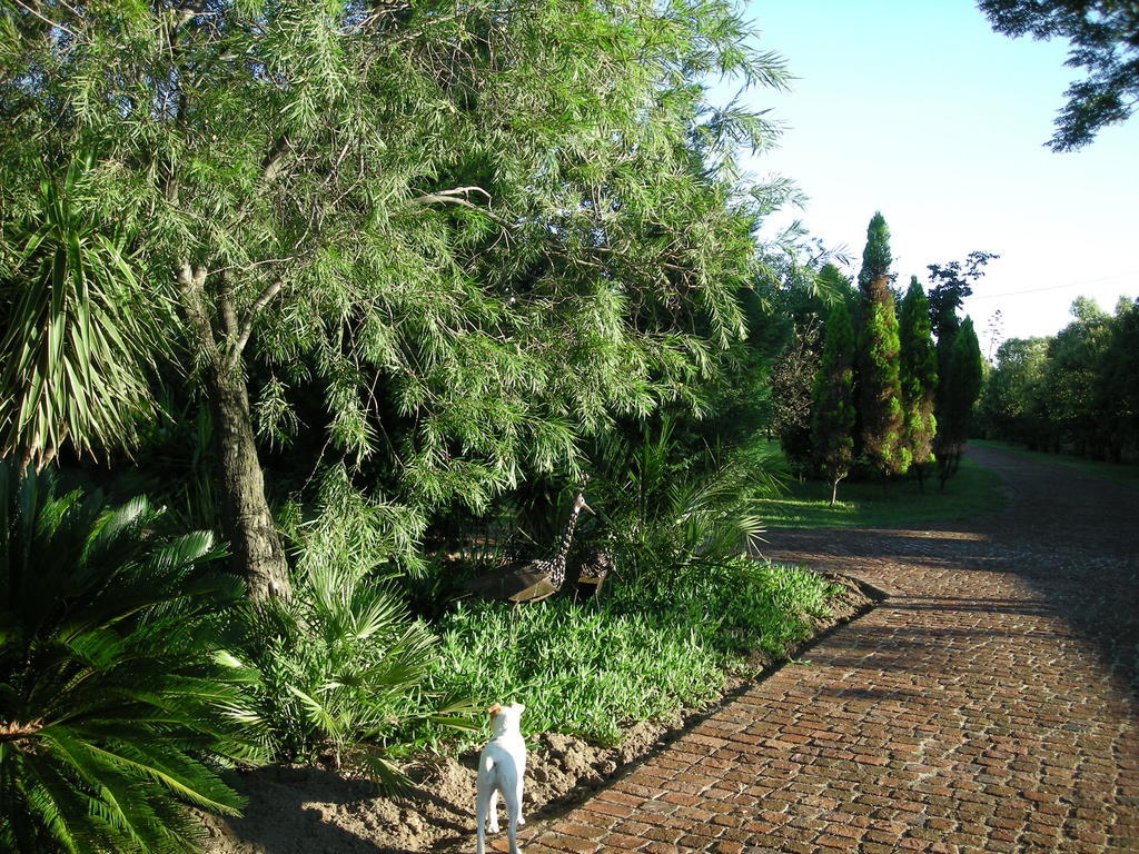 Pine Tree Lodge Midrand Eksteriør billede